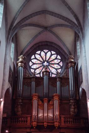 Cathédrale Saint Pierre, orgue et rosace 
